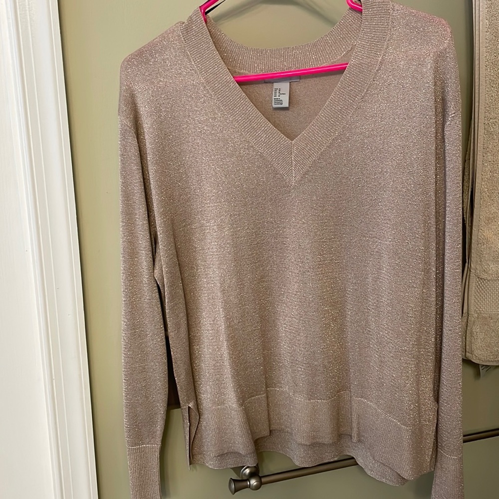 Sparkly glittery beigey top